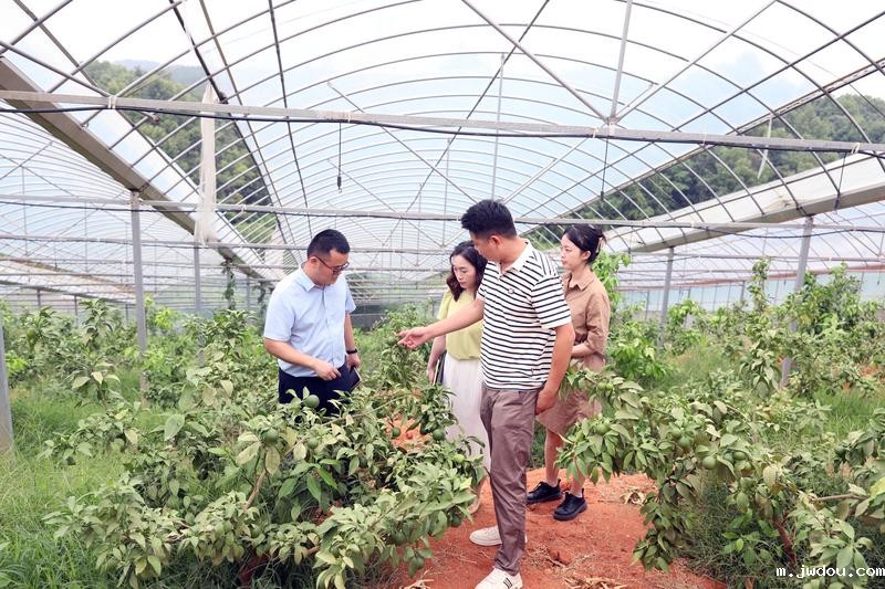 2132-20250707-5ad2987993e749dd84af37964d037495